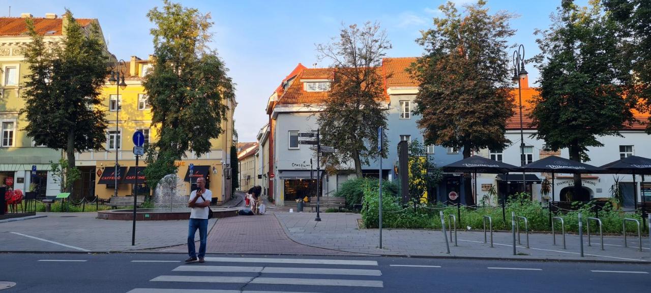 ReHouse Vokieciu str.9, 2 bedroom Wilno Zewnętrze zdjęcie